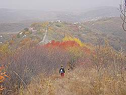 Bergtocht in de herfst - prachtige kleuren en uitzicht over de buitenwijk van Almaty