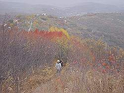 Bergtocht in de herfst - prachtige kleuren en uitzicht over de buitenwijk van Almaty