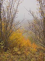 Bergtocht in de herfst - prachtige kleuren