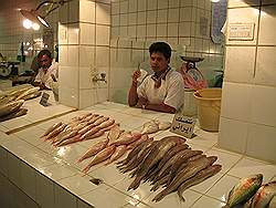 Kuwait - de souk; vismarkt