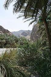 Wadi Bani Awf