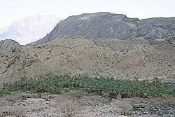 Wadi Bani Awf