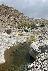 Wadi Bani Awf