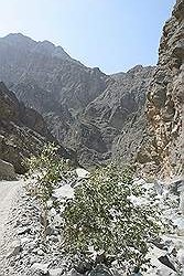 Wadi Bani Awf