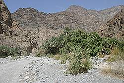 Wadi Bani Awf