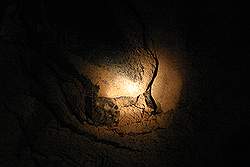 Ras Al Jinz - reuzenschildpad legt eieren, verlicht door een zaklantaarn