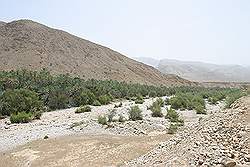 Wadi Bani Khalid