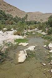 Wadi Bani Khalid