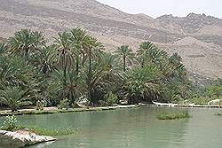 Wadi Bani Khalid