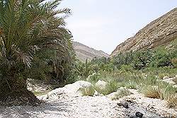 Wadi Bani Khalid