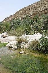 Wadi Bani Khalid