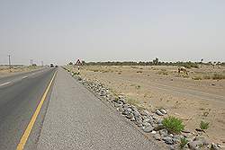 Onderweg van Sur naar Nizwa