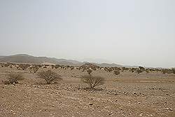 Onderweg van Sur naar Nizwa