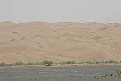 Wahiba Sands