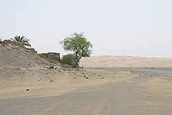 Wahiba Sands