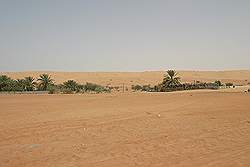 Wahiba Sands