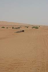 Wahiba Sands