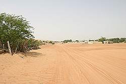 Wahiba Sands