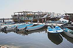 Musandam - de haven van Dibba