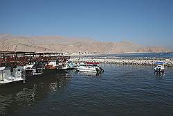 Musandam - de haven van Dibba