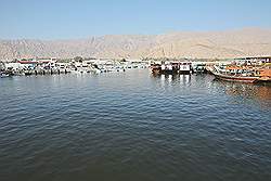 Musandam - de haven van Dibba