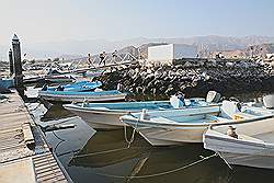 Musandam - de haven van Dibba