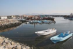 Musandam - de haven van Dibba