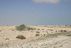 Landschap langs de weg naar Al Gharijah