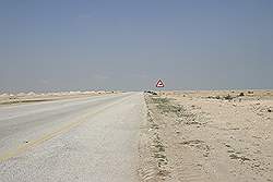 De weg naar Al Ruwais