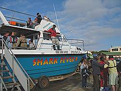 Gans baai - de boot