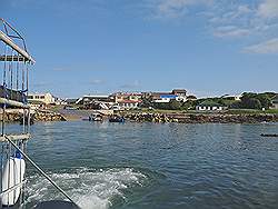 Gans baai - op weg naar de haaien