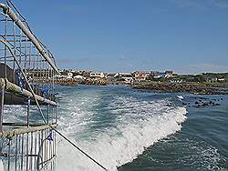 Gans baai - op weg naar de haaien