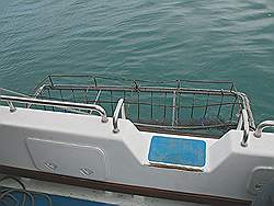 Gans baai - de duikkooi naast de boot