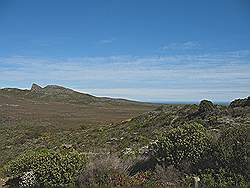 Natuurpark 'Kaap de Goede Hoop'