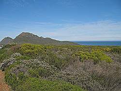 Natuurpark 'Kaap de Goede Hoop'