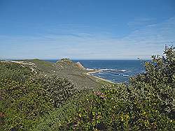 Natuurpark 'Kaap de Goede Hoop' - in de verte Kaap de Goede Hoop