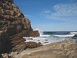 Natuurpark 'Kaap de Goede Hoop' - Kaap de Goede Hoop