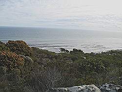 Natuurpark 'Kaap de Goede Hoop' - Mast Baai