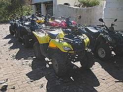 Quad rijden in Elgin valley - de quads