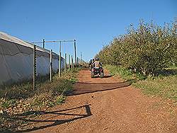 Quad rijden in Elgin valley