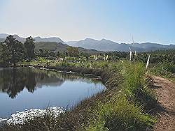 Quad rijden in Elgin valley