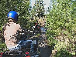 Quad rijden in Elgin valley