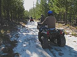 Quad rijden in Elgin valley