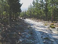 Quad rijden in Elgin valley