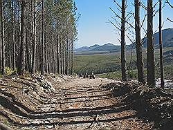 Quad rijden in Elgin valley