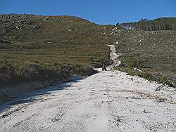 Quad rijden in Elgin valley