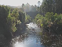 Quad rijden in Elgin valley