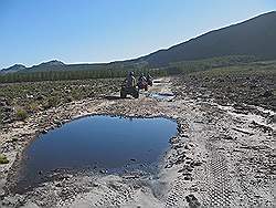 Quad rijden in Elgin valley