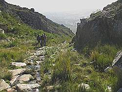 Quad rijden in Elgin valley - bergpas die werd gebruikt door de kolonisten