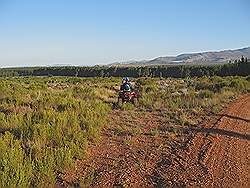 Quad rijden in Elgin valley